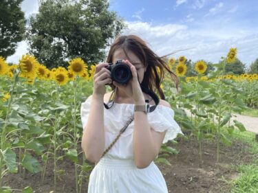 スマホで十分？それとも専用機？初心者向け「後悔しないカメラの選び方」予算・目的別完全ガイド