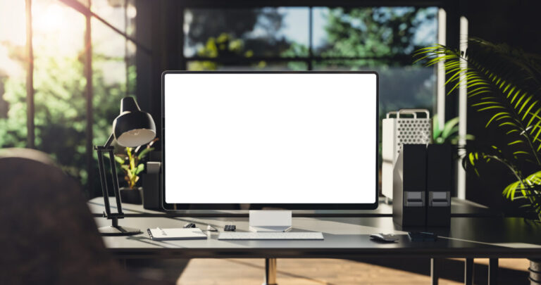 ポータブルモニターの使用イメージ