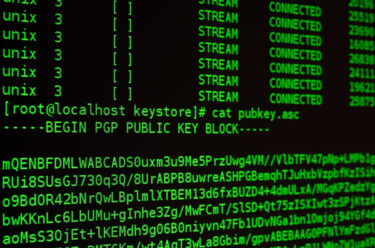 【図解】ipconfigの見方はここだけでOK！初心者が確認すべき2つの項目